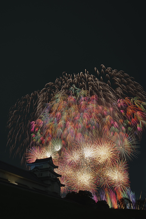 Ibaraki Tonegawa Grand Fireworks Festival Music Starmine