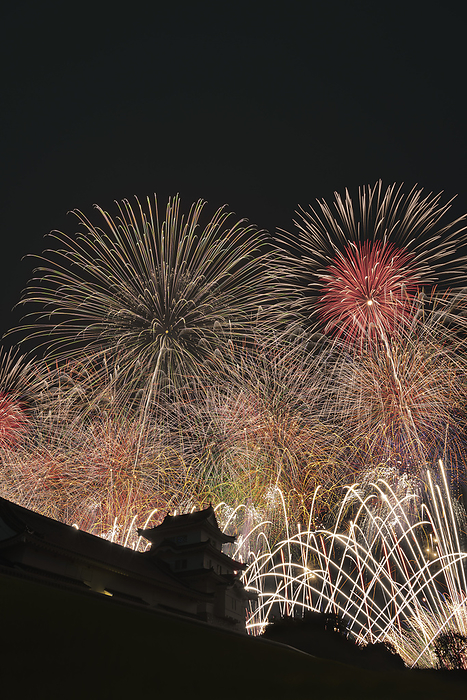 Tonegawa Grand Fireworks Festival, Ibaraki, Japan Ultra-luxurious Ultra-wide Starmine