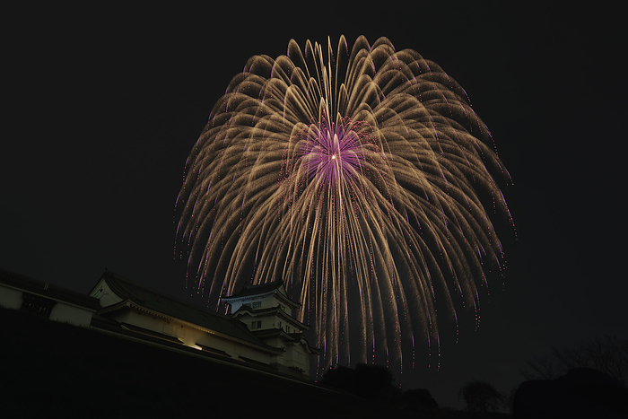Ibaraki Prefecture Tonegawa Grand Fireworks Festival Shakudama