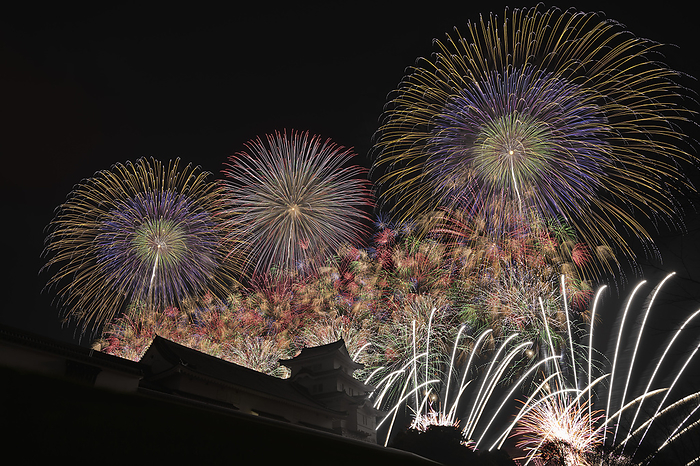 Tonegawa Grand Fireworks Festival, Ibaraki, Japan Ultra-luxurious Ultra-wide Starmine