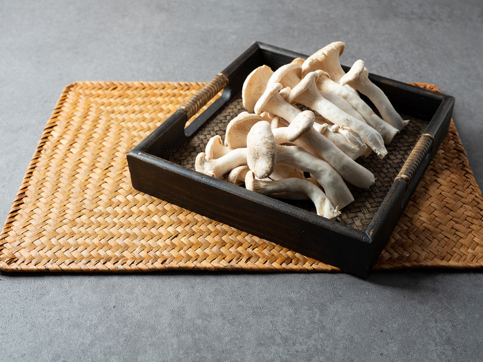 Hira bamboo Mushrooms and Foodstuff Images