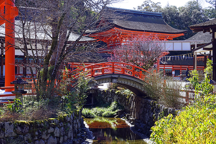 World Heritage Shimogamo jinja Shrine Korin s Plum Blossom and Wabashi Bridge Kyoto Pref.                                