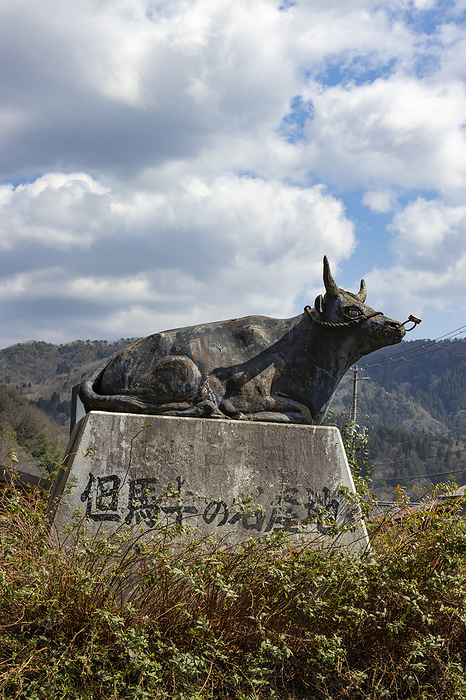 Hyogo Prefecture, famous for Tajima beef