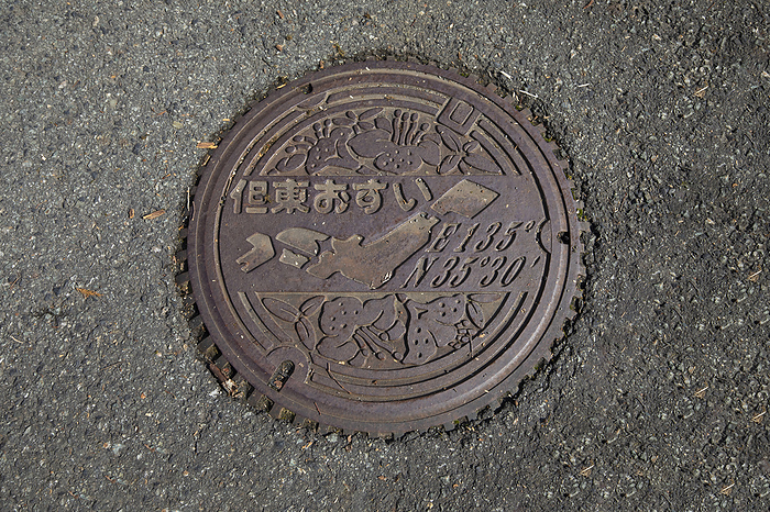 Manhole in former Tanto Town, Hyogo Prefecture