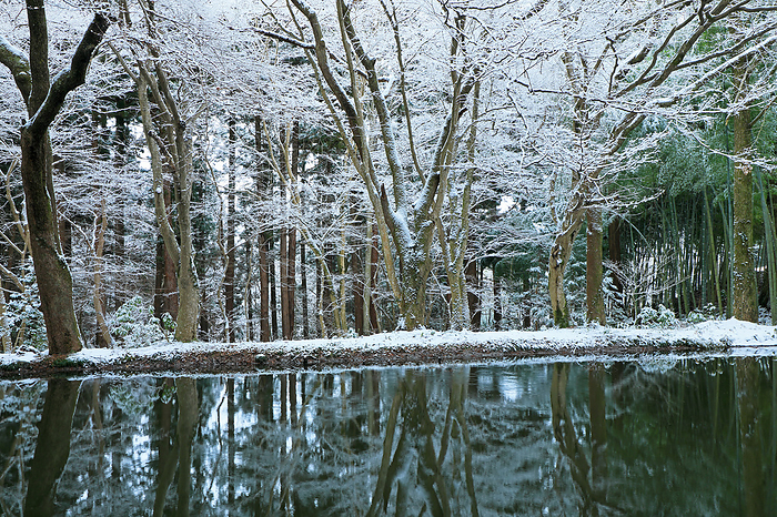 Snowy view of Chuson-ji Benzaiten Pond Hiraizumi Town, Iwate Prefecture