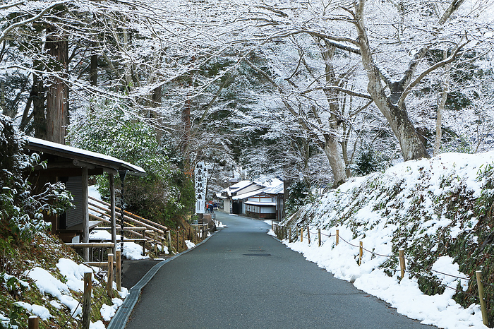 Snowy view of Chuson-ji's Tsukimizaka slope Hiraizumi Town, Iwate Prefecture