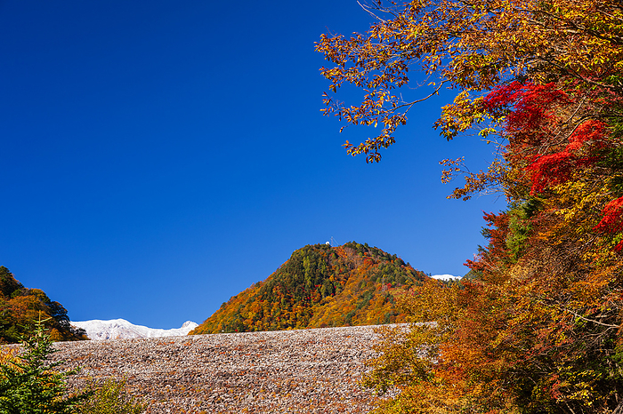 Autumn at Omachi Dam, Nagano Prefecture