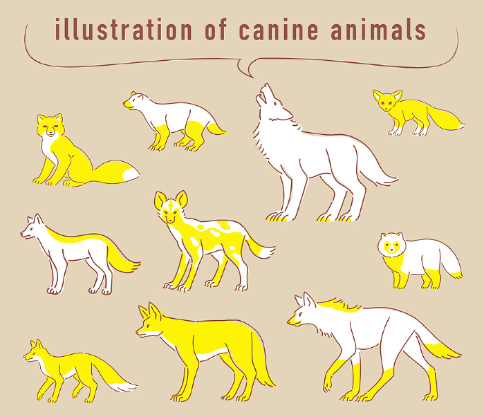 Clip art set of Canis lupus