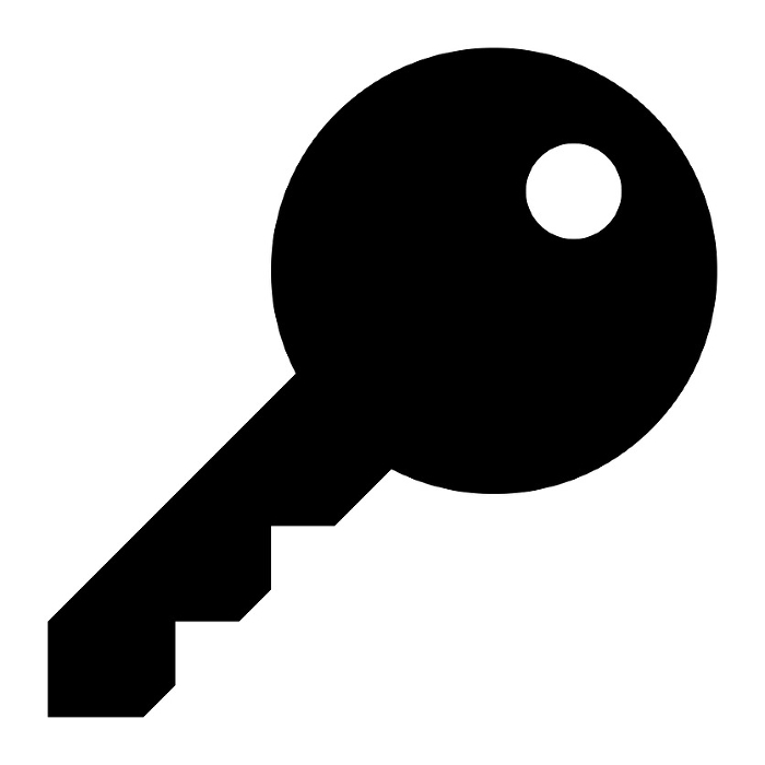 Simple black key silhouette icon