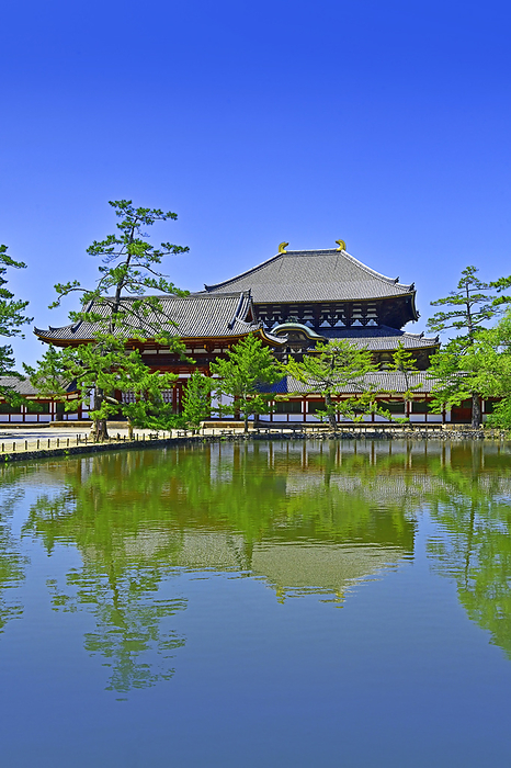 Todaiji Temple, Great Buddha Hall, Kagami ike Pond, Nara City, Nara Pref. The Great Buddha Hall of Todaiji Temple reflected in Kagami ike Pond, a spectacular view of fresh greenery.