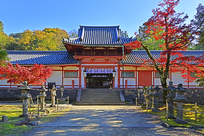 Tegozan Hachimangu Shrine in Autumn Nara City, Nara Pref. TEMUKAIYAMA HACHIMANGU, the guardian deity of Todaiji Temple, famous for its autumn foliage