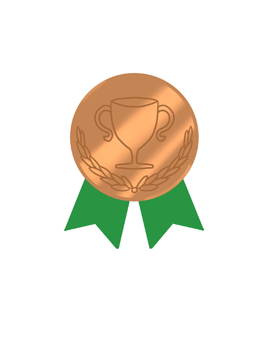 Bronze Medal 8
