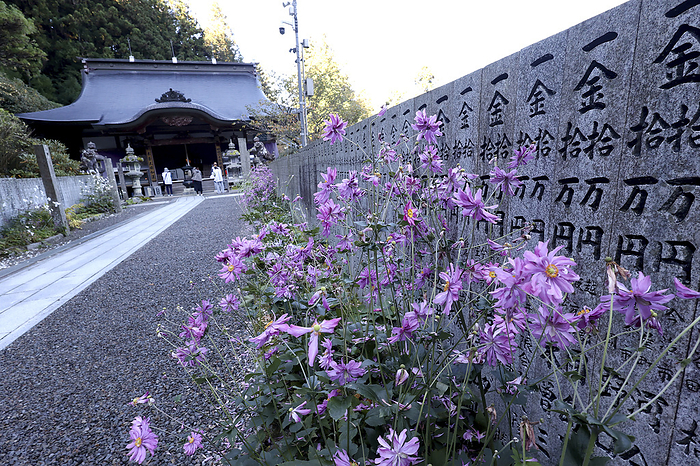 The main hall of Yokomine ji Temple  No. 60  and the autumn chrysanthemum 88 sacred places in Shikoku