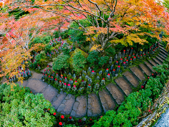 Autumn leaves at Daisho-in Temple on Miyajima