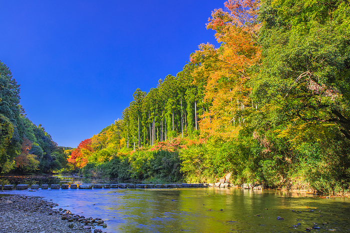 Autumn leaves in Arashiyama Valley, Saitama Prefecture