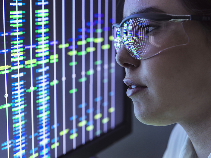 DNA analysis Scientist viewing DNA  deoxyribonucleic acid  profiles on a computer screen., by TEK IMAGE SCIENCE PHOTO LIBRARY