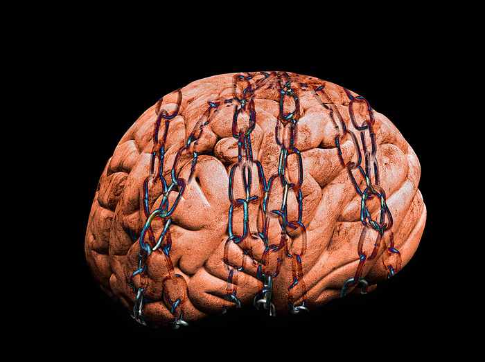 Imprisoned brain, conceptual illustration Conceptual illustration depicting a human brain in chains. This could symbolise the adverse impact that the prison environment can have on the brain, due to the disconnection from family, society, and social support, a loss of autonomy, a reduced sense of meaning and purpose in life, fear of victimisation, increased boredom, unpredictability of surroundings, overcrowding, and punitiveness., by VICTOR de SCHWANBERG SCIENCE PHOTO LIBRARY