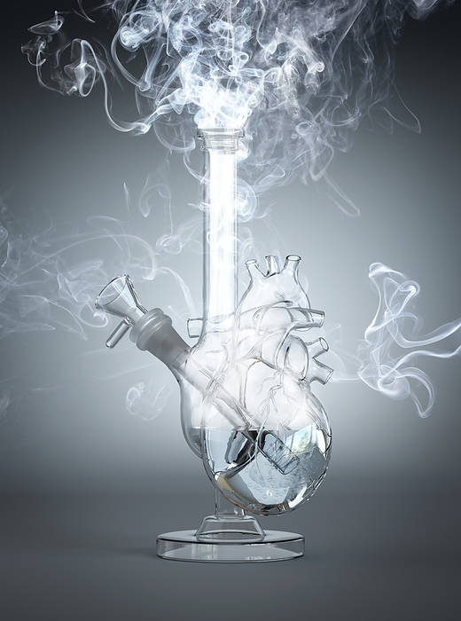 Smoking and heart disease, conceptual illustration Conceptual illustration of the damaging effects of smoking on the heart., by VENTRIS   SCIENCE PHOTO LIBRARY
