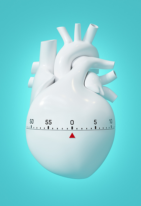 Critical hour after heart attack, conceptual illustration Conceptual image of the critical hour following a heart attack in which treatment can be most effective. After 80 90 minutes, heart muscle will start to die due to a lack of blood supply., by VENTRIS   SCIENCE PHOTO LIBRARY