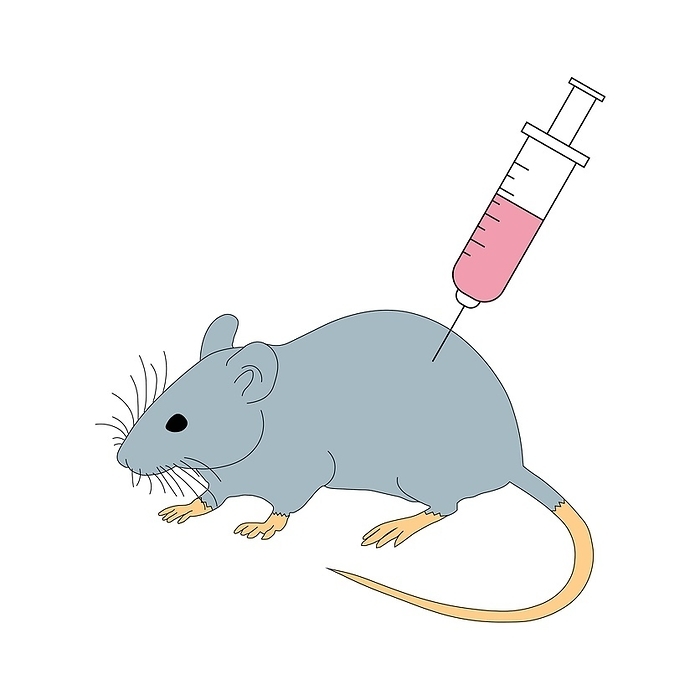 Laboratory mouse, illustration Laboratory mouse, illustration., by ALI DAMOUH SCIENCE PHOTO LIBRARY