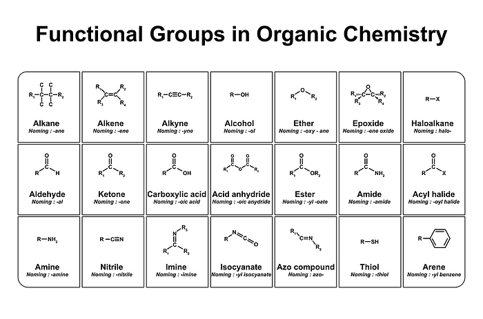 Functional groups in organic chemistry, illustration Functional groups in organic chemistry, illustration., by ALI DAMOUH SCIENCE PHOTO LIBRARY