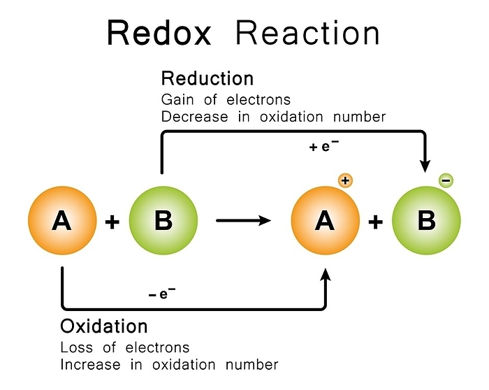 Redox reaction, illustration Redox reaction, illustration., by ALI DAMOUH SCIENCE PHOTO LIBRARY