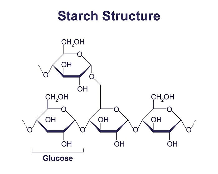 Starch structure, illustration Starch structure, illustration., by ALI DAMOUH SCIENCE PHOTO LIBRARY