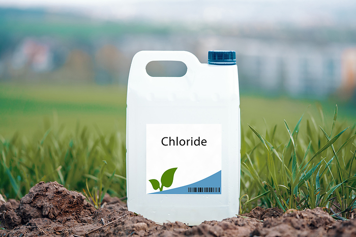 Container of chloride Container of chloride. An essential nutrient for plant growth that promotes osmotic regulation and stress tolerance., by WLADIMIR BULGAR SCIENCE PHOTO LIBRARY