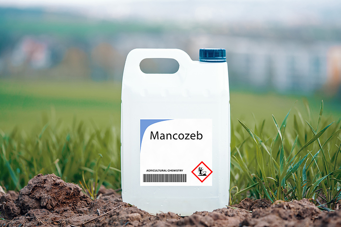 Container of mancozeb fungicide Container of mancozeb. Contact fungicide used on various crops., by WLADIMIR BULGAR SCIENCE PHOTO LIBRARY