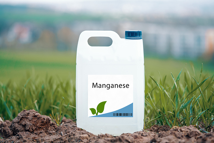 Container of manganese Container of manganese. An essential nutrient for plant growth that promotes chlorophyll synthesis, photosynthesis, and stress tolerance., by WLADIMIR BULGAR SCIENCE PHOTO LIBRARY
