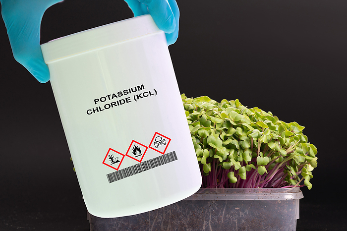 Container of potassium chloride Container of potassium chloride  KCl . A common source of potassium fertiliser., by WLADIMIR BULGAR SCIENCE PHOTO LIBRARY