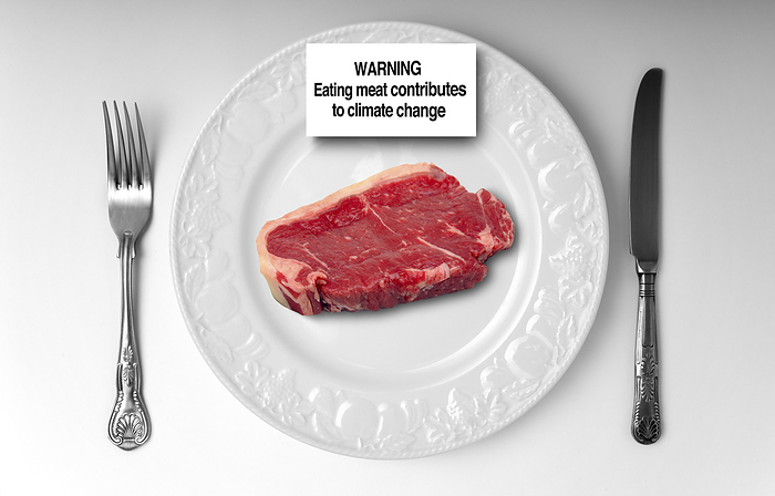 Impact of eating meat on climate change, composite image Impact of eating meat on the climate change, composite image. Livestock farming is a significant source of methane, a potent greenhouse gas that contributes to global warming and climate change., by VICTOR de SCHWANBERG SCIENCE PHOTO LIBRARY