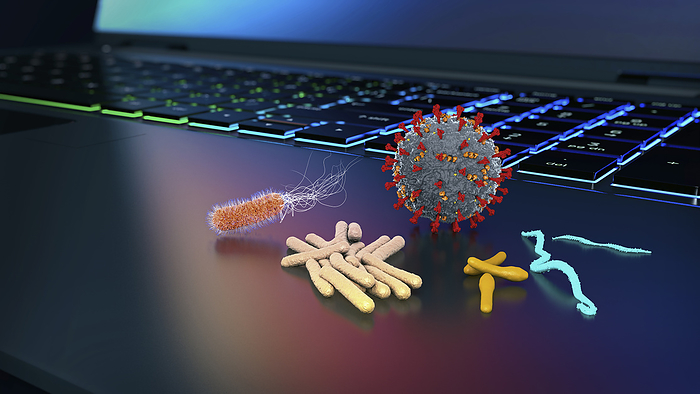 Pathogens on laptop, illustration Pathogens on laptop, illustration., by CHRISTOPH BURGSTEDT SCIENCE PHOTO LIBRARY