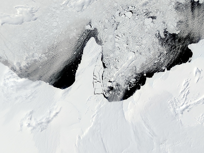 Sea ice breaking from Antarctic ice shelf, satellite image Satellite image of an area of sea ice breaking from the Ronne Filchner Ice Shelf in the Antarctic peninsula on 13 January 2010. The area, which is larger than the state of Rhode Island, has broken into numerous smaller pieces. The long and narrow section of ice is a bridge of sea ice which links the A 23A iceberg  upper centre  and the Ronne Filchner Ice Shelf  lower centre  in West Antarctica. This bridge of ice is called fast ice, which is sea ice that does not move because it is anchored to the shore. In comparison to an ice shelf, the sea ice is a thin layer of ice that covers the ocean, and the difference in thickness is visible in the image. This particular ice bridge breaks up and reforms regularly, which is a sign of the arrival of summer in the Polar South. Image acquired by the MODIS  Moderate Resolution Imaging Spectroradiometer  instrument on NASA s Aqua satellite., by NASA SCIENCE PHOTO LIBRARY