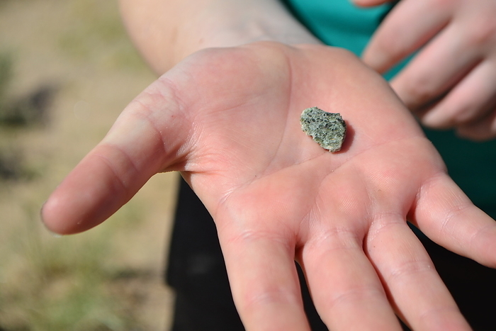 Trinitite Trinitite sample at Trinity Site, New Mexico, USA. This artificial mineral was formed when the world s first nuclear bomb was tested at this site on the 16th of July 1945, as part of the Manhattan Project. Trinitite is an altered silicate resembling rough green glass. The extreme temperatures of the nuclear explosion melted the native sandstone soil. As the material cooled it formed a glassy structure. The greenish colour comes from iron in the sand. It has lost most of its radioactivity and is safe to handle, though removal from the Trinity test site is prohibited by the US army., by US DEPARTMENT OF DEFENSE, Wendy Brown SCIENCE PHOTO LIBRARY