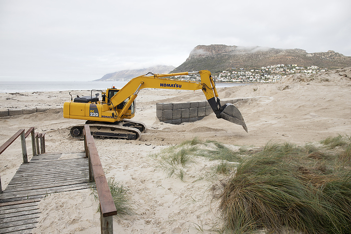 Mechanical digger reshaping coastal dunes Mechanical digger reshaping coastal dunes to prevent flooding caused by climate change. Sea dunes being reshaped and planted with new dune grasses to prevent flooding caused by sea level rise from climate change. Photographed in Fish Hoek, Cape Town, Western Cape, South Africa., by DR NEIL OVERY SCIENCE PHOTO LIBRARY