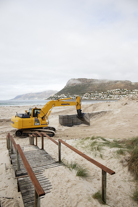 Mechanical digger reshaping coastal dunes Mechanical digger reshaping coastal dunes to prevent flooding caused by climate change. Sea dunes being reshaped and planted with new dune grasses to prevent flooding caused by sea level rise from climate change. Photographed in Fish Hoek, Cape Town, Western Cape, South Africa., by DR NEIL OVERY SCIENCE PHOTO LIBRARY