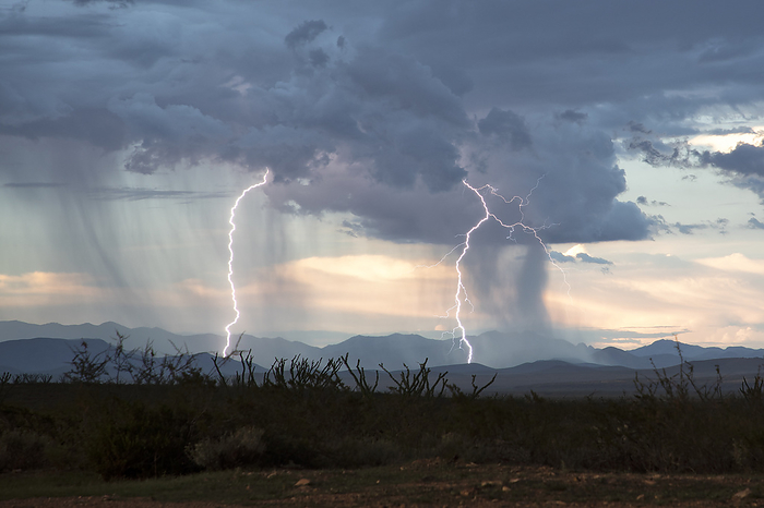 Thunderstorm with double lightning strike, Arizona, USA Thunderstorm over the desert of southern Arizona near Douglas, Arizona, USA. Monsoon thunderstorms produce heavy rain, lightning and strong winds. Photographed on 5th August 2022., by ROGER HILL SCIENCE PHOTO LIBRARY