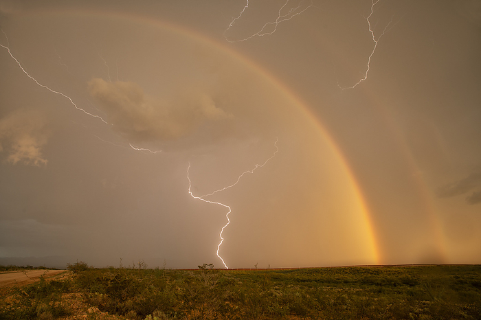 Thunderstorm with double rainbow and lightning, Arizona, USA Thunderstorm over the desert of southern Arizona near Douglas, Arizona, USA. Monsoon thunderstorms produce heavy rain, lightning and strong winds. Photographed on 5th August 2022., by ROGER HILL SCIENCE PHOTO LIBRARY
