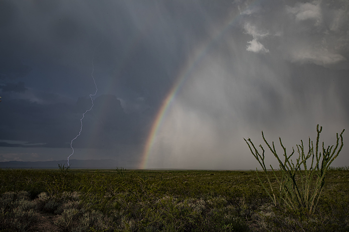 Thunderstorm with rainbow and lightning strike, Arizona, USA Thunderstorm over the desert of southern Arizona near Douglas, Arizona, USA. Monsoon thunderstorms produce heavy rain, lightning and strong winds. Photographed on 5th August 2022., by ROGER HILL SCIENCE PHOTO LIBRARY
