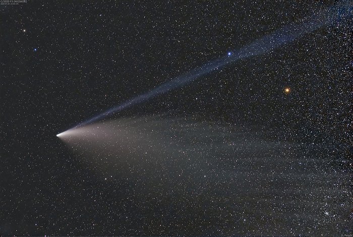 Comet NEOWISE Comet NEOWISE, or C 2020 F3  NEOWISE , photographed on 20 July 2020. Comets are collections of dust and ice that orbit the Sun. Both a dust tail  white  and ion tail  blue  are visible. This comet was discovered on 27th March 2020 by astronomers using the NEOWISE  Wide Field Infrared Explorer  space telescope. It was one of the brightest comets since comet Hale Bopp in 1997, and could be seen with the naked eye throughout July 2020. It orbits the sun very slowly however, only around once every 6800 years., by DAMIAN PEACH SCIENCE PHOTO LIBRARY