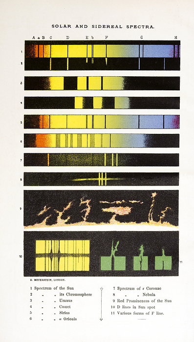 Chemistry of heavenly bodies in 1878, illustration 1878 illustration of solar and sidereal spectra using astronomical spectroscopy techniques to measure the spectrum of electromagnetic radiation. At this time the study was described by John All Gladstone, FRS, who was President of the British Chemical Society and also President of the Physical Society. Apart from chemistry, he undertook pioneering research in optics and spectroscopy. He indicated how the whole of the knowledge of the chemical nature of the Sun and other astronomical bodies had only been obtained during the last twenty years. It explained in a few words how the rays of light from an object can tell us what it is composed of., by SHEILA TERRY SCIENCE PHOTO LIBRARY