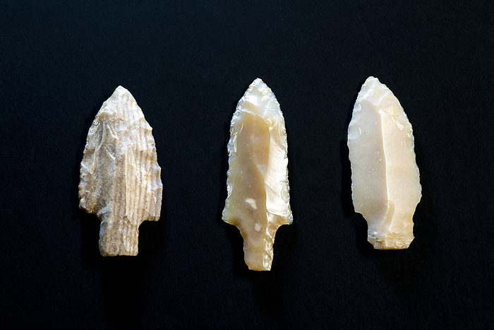 Neolithic flint arrow heads Flint arrowheads found at a burial site in the Gava variscite mines, which were active between 4200 and 3400 BCE  Neolithic period , in Barcelona, Catalonia, Spain. Variscite is a semi precious green mineral which was used to make jewellery and was traded across the Western Mediterranean. Some chambers of the mine which were exhausted of variscite were repurposed for burials, and objects such as these arrowheads have been found buried alongside people. Disparity between the locations and care taken in burials suggest a class structure may have operated in the society that existed here., by MARCO ANSALONI   SCIENCE PHOTO LIBRARY