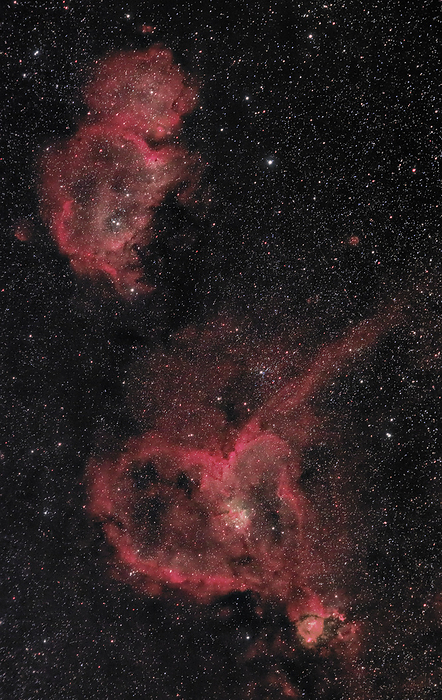 Heart and Soul Nebula Heart  IC 1805  and Soul  IC 1848  are two emission nebulae in the constellation Cassiopeia, located about 6,000 light years from Earth., by AMIRREZA KAMKAR   SCIENCE PHOTO LIBRARY