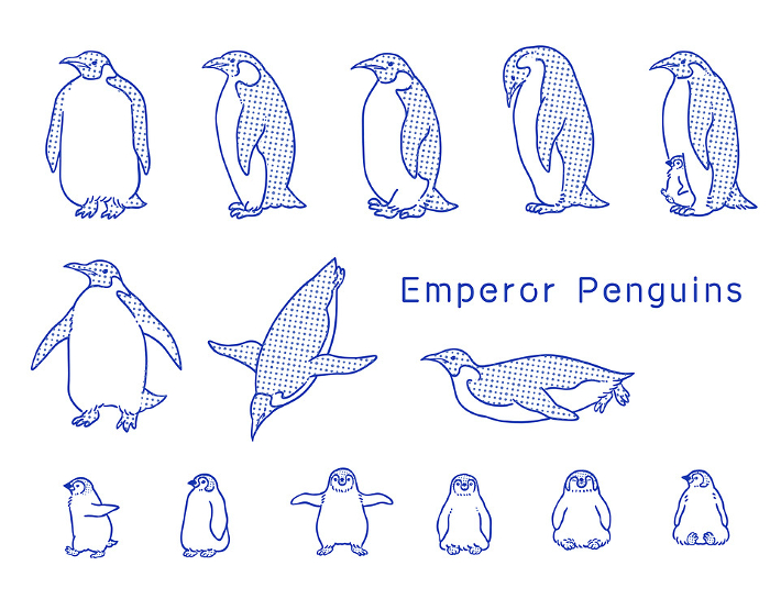 Clip art set of retro style_line drawing of stork penguin