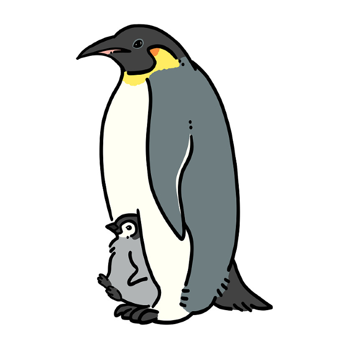 Clip art of emperor penguin