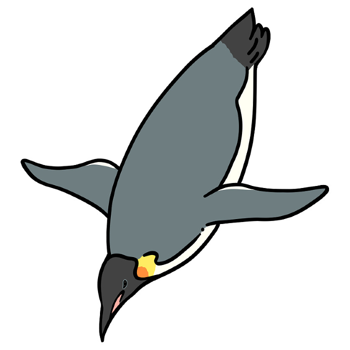 Clip art of emperor penguin diving