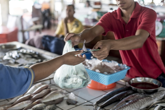 A fishmonger makes a sale in Kudat fish market, Sabah, Malaysian Borneo, Malaysia, Southeast Asia, Asia A fishmonger makes a sale in Kudat fish market, Sabah, Malaysian Borneo, Malaysia, Southeast Asia, Asia 