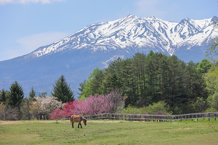 Kaida Kogen Spring at the foot of Mt. Taken at Kiso Horse Village