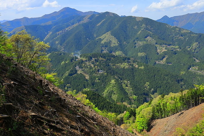 Tokyo Asama Ridge logging area and Mt.